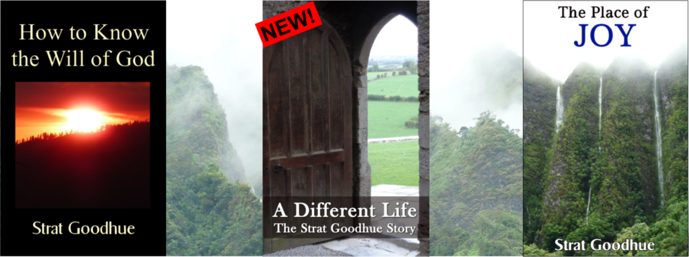 Books by Strat Goodhue